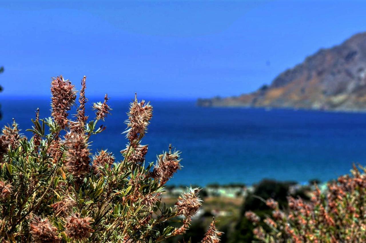 Sun & Sea * Plakias